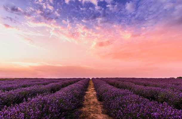 10 Beautiful Landscapes & Scenes Of Nature - picture 8