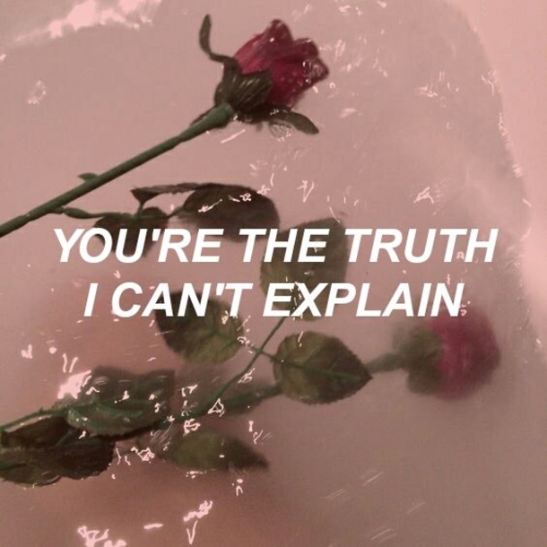 10 Beautiful Love Captions & Quotes - picture 10