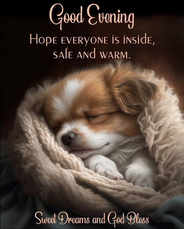 10 Beautiful Messages For A Good Night & Evening - picture 11
