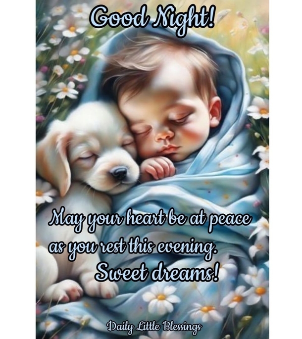 10 Beautiful Messages For A Good Night & Evening - picture 13