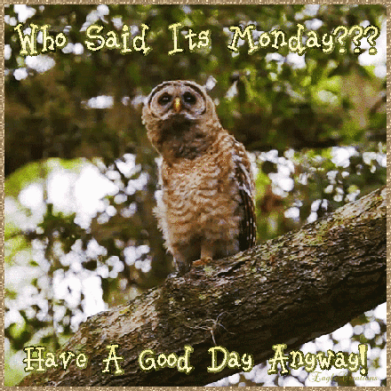 10 Beautiful Monday Comments And Quotes - picture 9