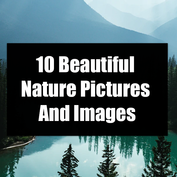 10 Beautiful Nature Pictures And Images