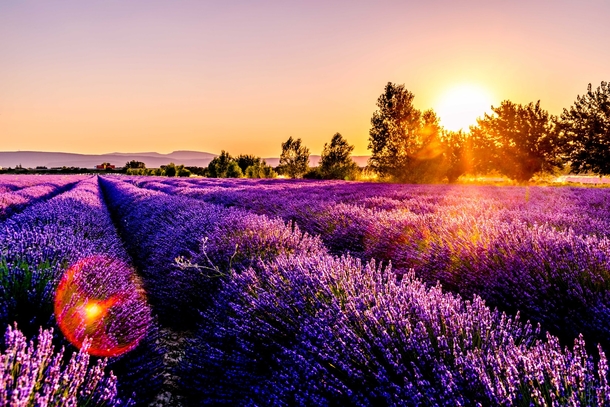 10 Beautiful Nature Pictures And Images - picture 4