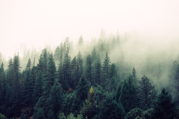 10 Beautiful Nature Scenes And Landscapes - picture 6