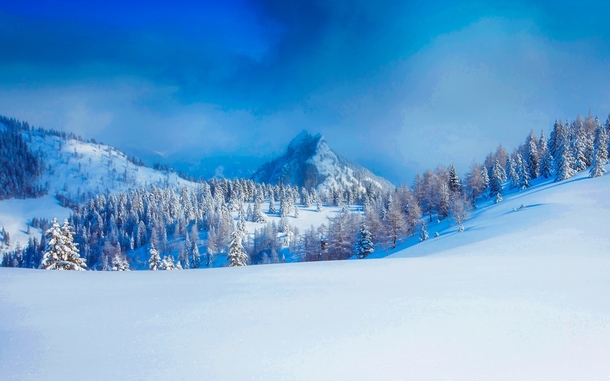 10 Beautiful Photography Shots Of Winter - picture 2