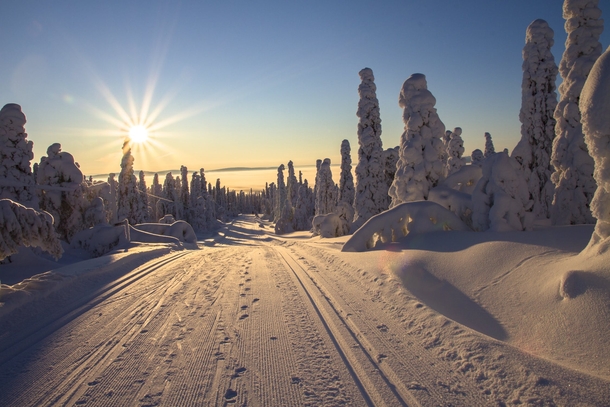 10 Beautiful Photography Shots Of Winter - picture 3