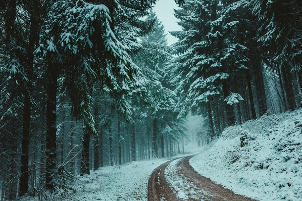 10 Beautiful Photography Shots Of Winter - picture 6