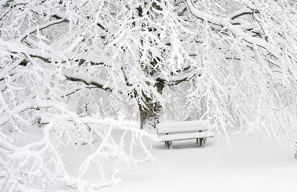 10 Beautiful Photography Shots Of Winter - picture 7