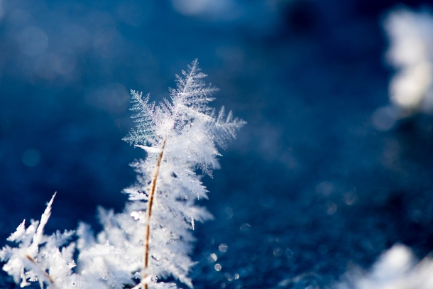 10 Beautiful Photography Shots Of Winter - picture 8