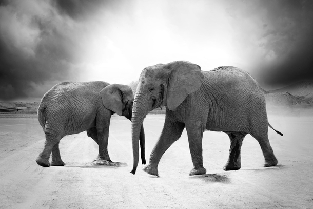 10 Beautiful Photography Shots Taken In Black & White - picture 10