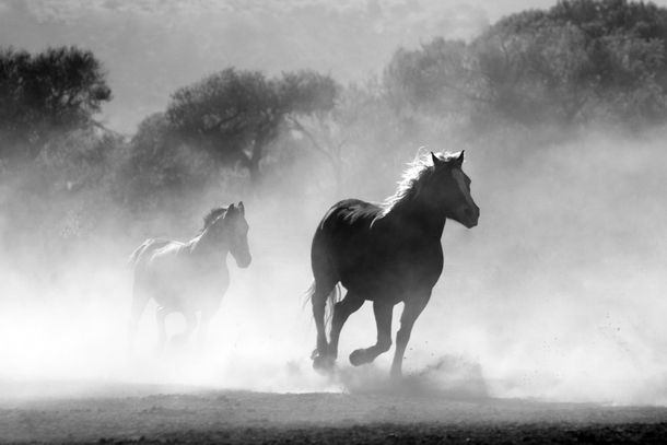10 Beautiful Photography Shots Taken In Black & White - picture 11