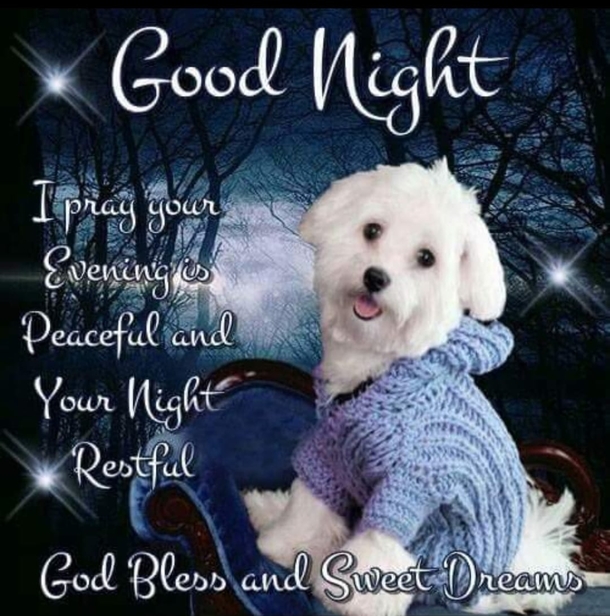 10 Beautiful Pictures For A Good Night With Quotes - picture 5