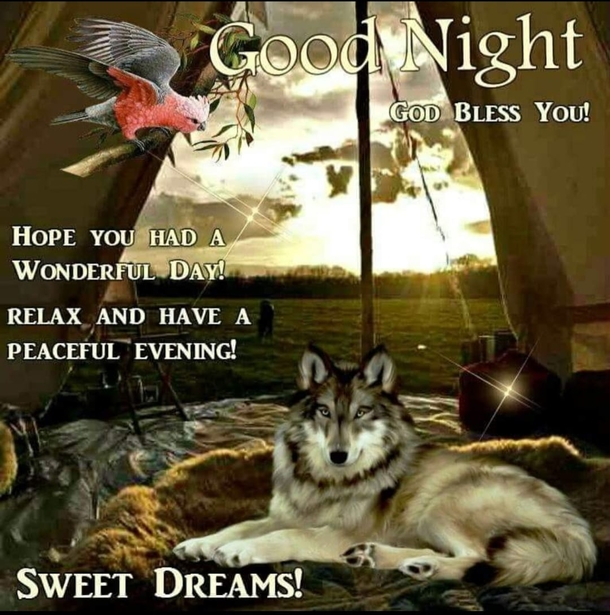 10 Beautiful Pictures For A Good Night With Quotes - picture 7
