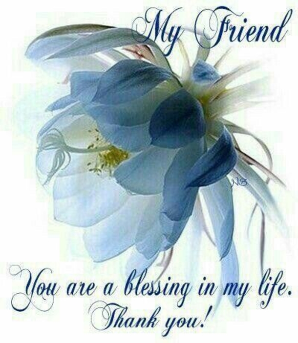 10 Beautiful Quotes For The Special Friends In Your Life - picture 14