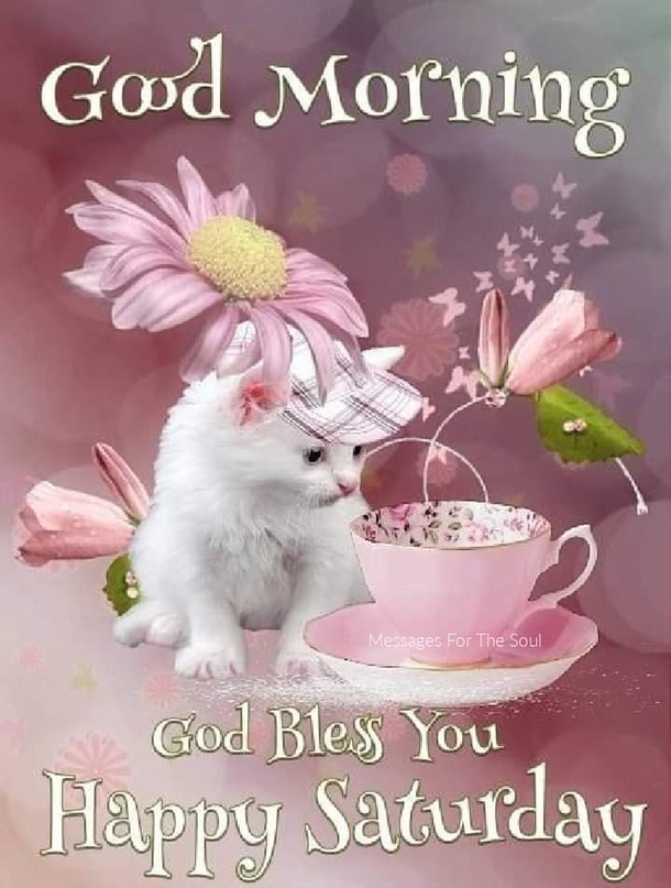 10 Beautiful Saturday Quotes For A Good Saturday Morning - picture 4