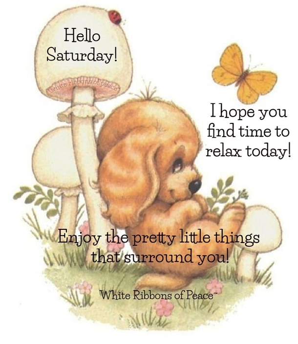 10 Beautiful Saturday Wishes To Fill The Day With Happiness - picture 11