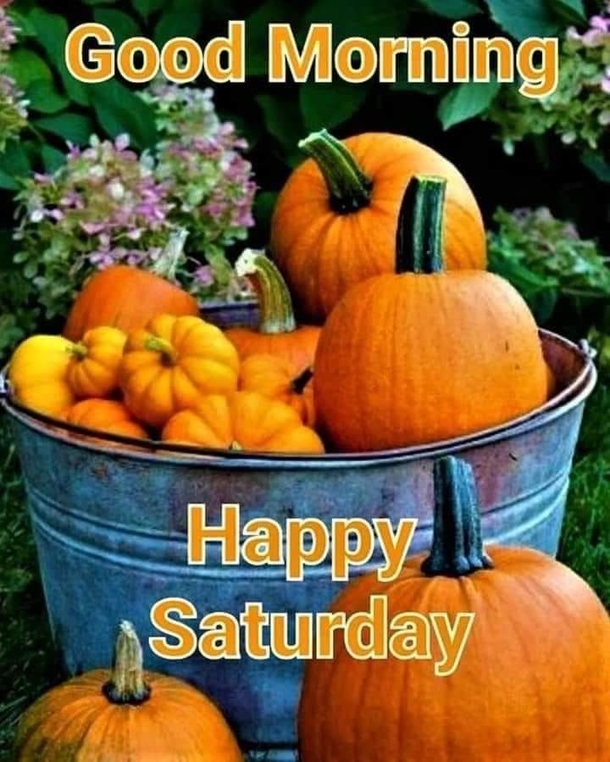 10 Beautiful Saturday Wishes To Fill The Day With Happiness - picture 3