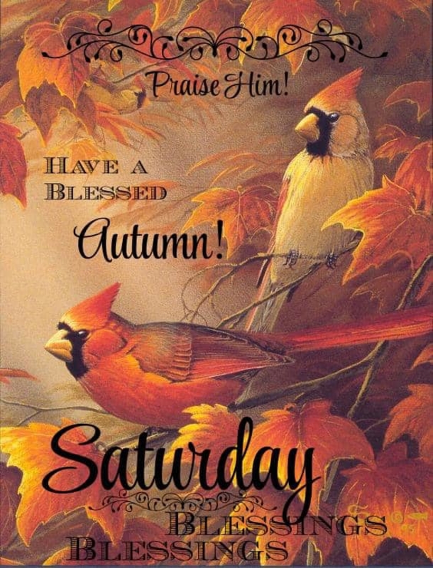 10 Beautiful Saturday Wishes To Fill The Day With Happiness - picture 4