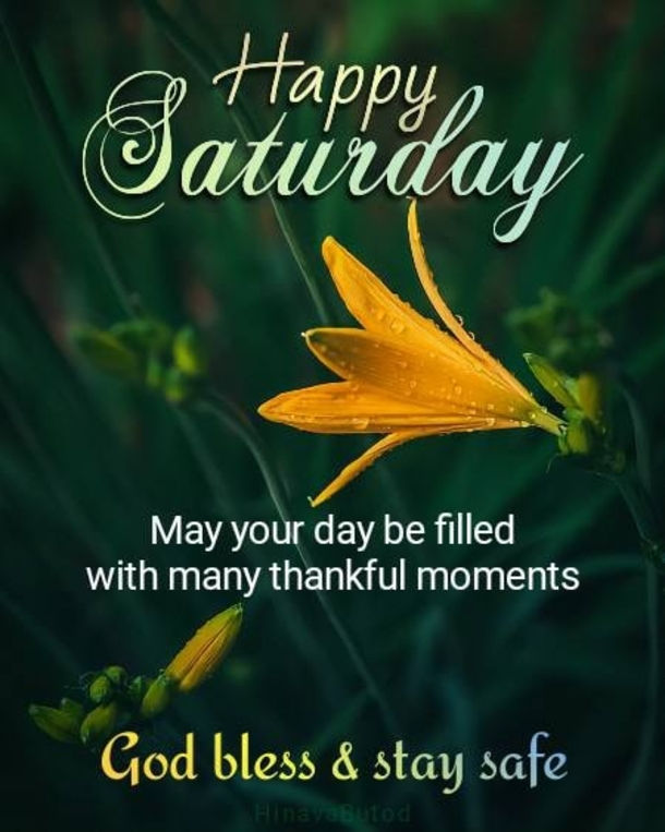 10 Beautiful Saturday Wishes To Fill The Day With Happiness - picture 7
