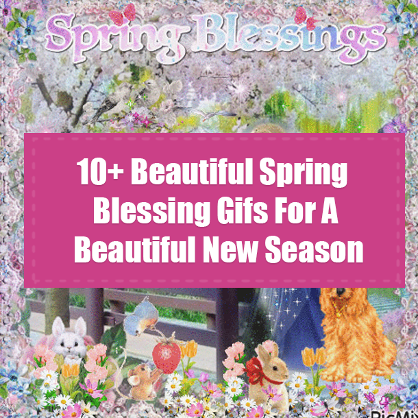10+ Beautiful Spring Blessing Gifs For A Beautiful New Season