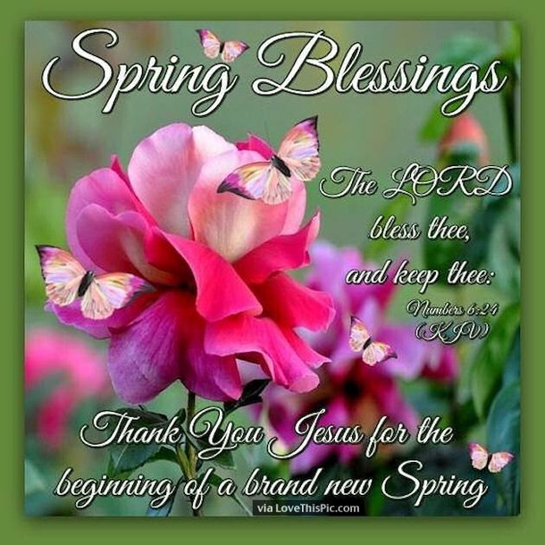 10+ Beautiful Spring Blessing Gifs For A Beautiful New Season - picture 4