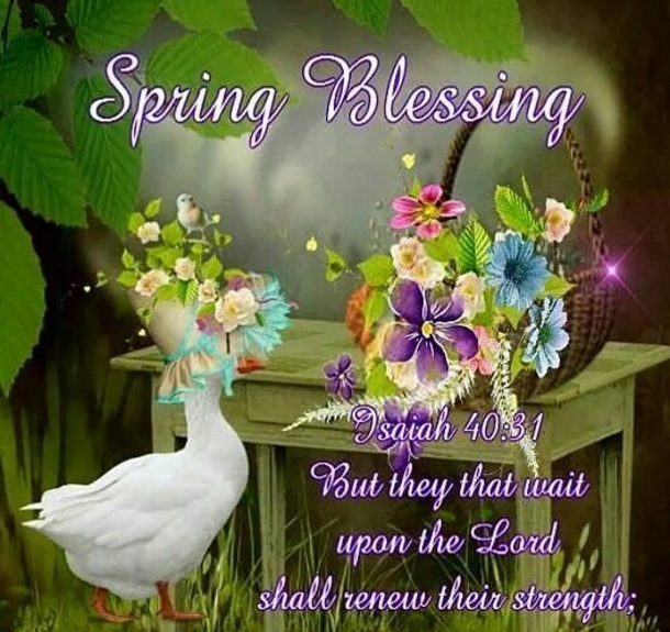 10+ Beautiful Spring Blessing Gifs For A Beautiful New Season - picture 6