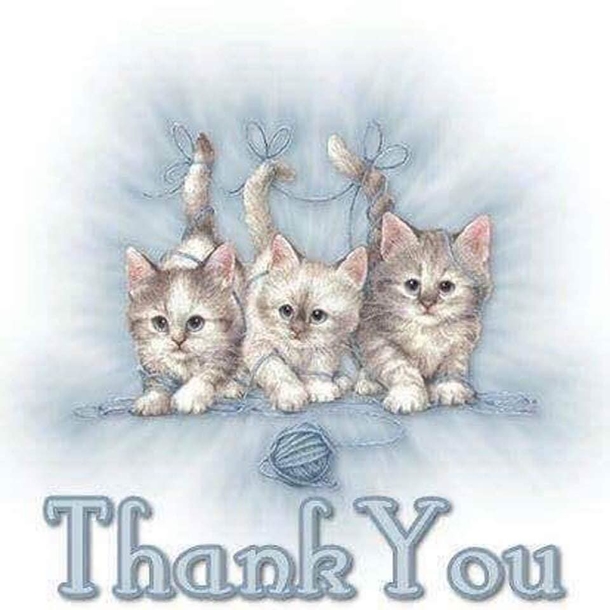 10 Beautiful Thank You Quotes To Express Gratitude - picture 6