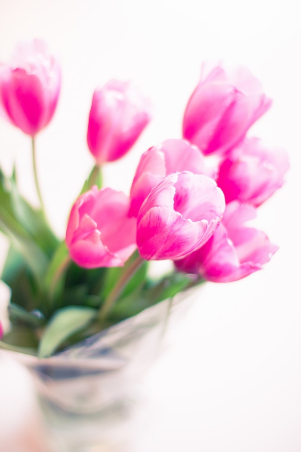 10 Beautiful Things All Women Can Love And Appreciate - picture 5