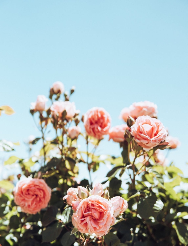 10 Beautiful Things All Women Can Love And Appreciate - picture 6