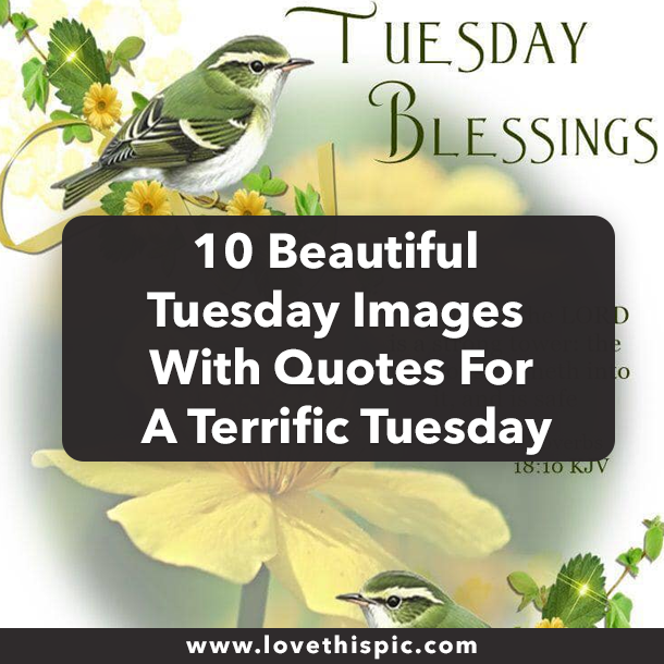 10 Beautiful Tuesday Images With Quotes For A Terrific Tuesday