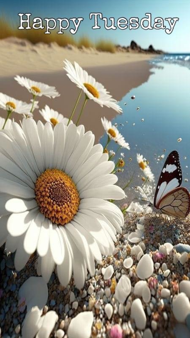 10 Beautiful Tuesday Images With Quotes For A Terrific Tuesday - picture 10
