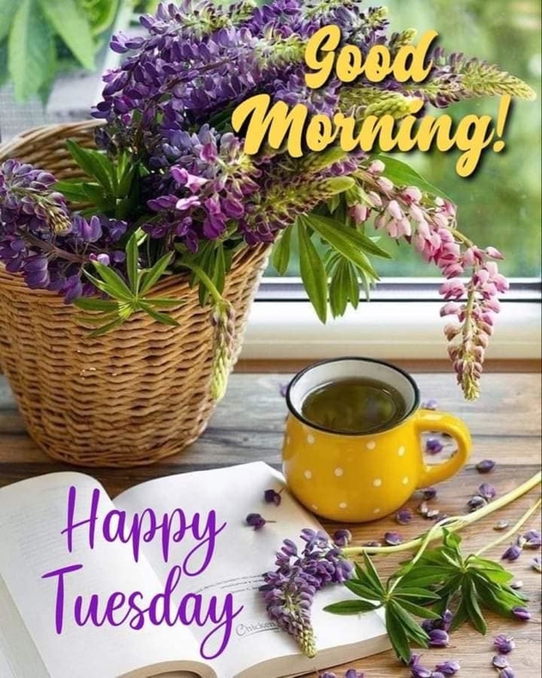 10 Beautiful Tuesday Images With Quotes For A Terrific Tuesday - picture 11