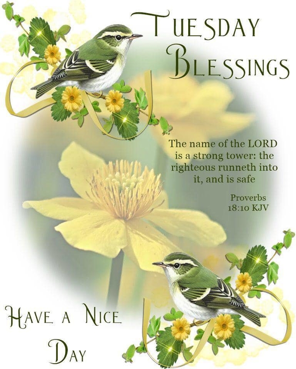 10 Beautiful Tuesday Images With Quotes For A Terrific Tuesday - picture 4