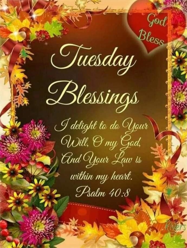 10 Beautiful Tuesday Images With Quotes For A Terrific Tuesday - picture 8