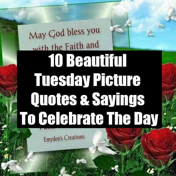 10 Beautiful Tuesday Picture Quotes & Sayings To Celebrate Today