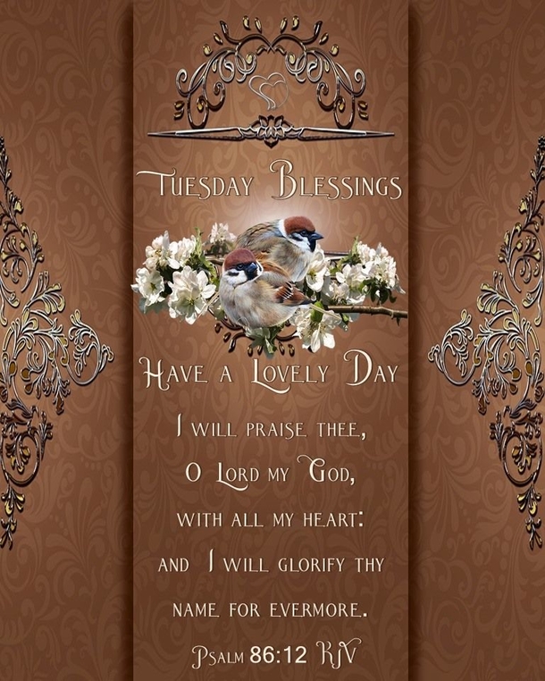 10 Beautiful Tuesday Picture Quotes & Sayings To Celebrate Today - picture 10