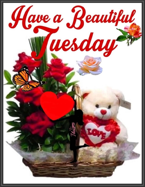 10 Beautiful Tuesday Picture Quotes & Sayings To Celebrate Today - picture 2