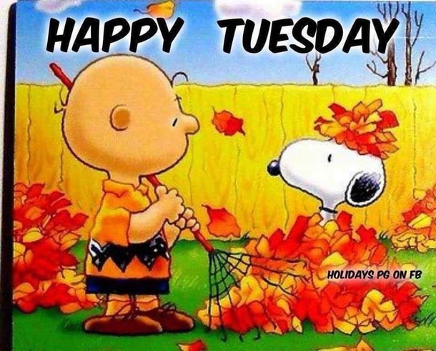 10 Beautiful Tuesday Picture Quotes & Sayings To Celebrate Today - picture 3