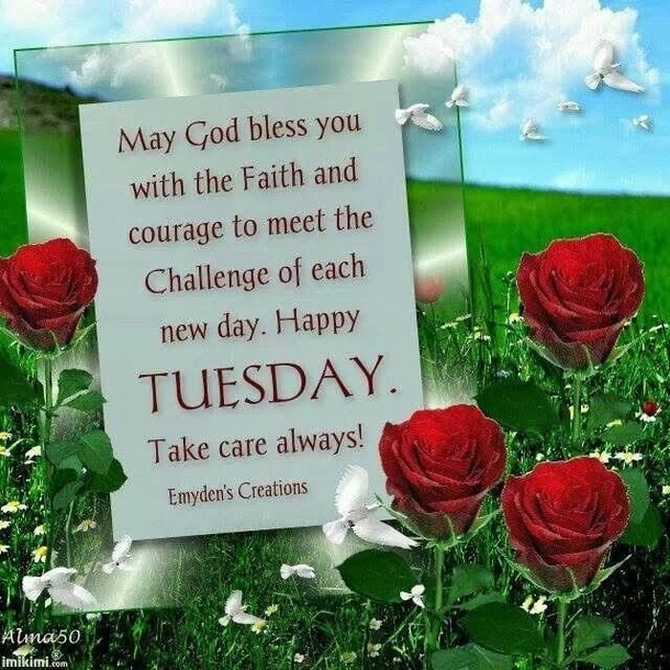 10 Beautiful Tuesday Picture Quotes & Sayings To Celebrate Today - picture 4