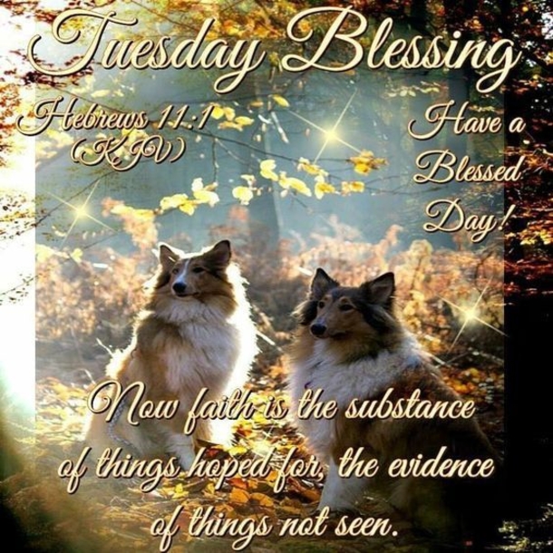 10 Beautiful Tuesday Picture Quotes & Sayings To Celebrate Today - picture 5