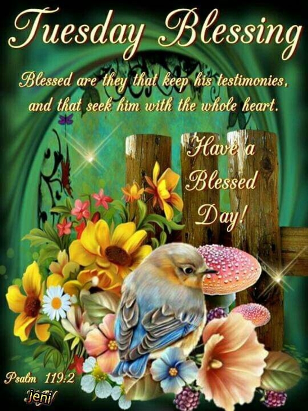 10 Beautiful Tuesday Picture Quotes & Sayings To Celebrate Today - picture 6