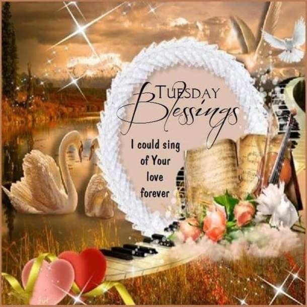 10 Beautiful Tuesday Picture Quotes & Sayings To Celebrate Today - picture 7