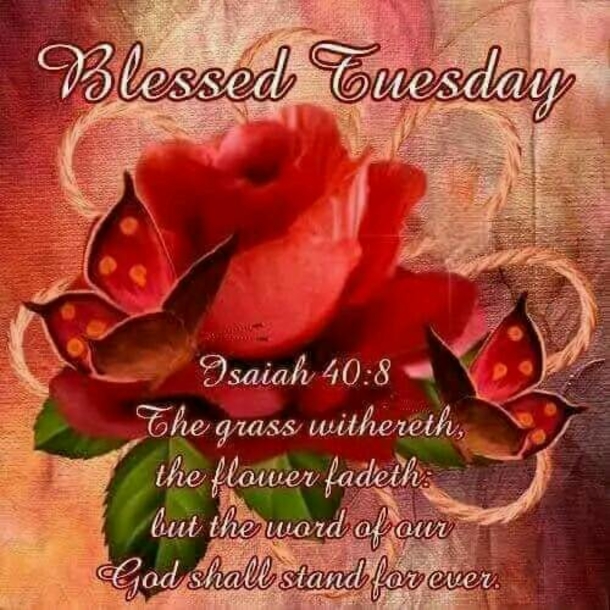 10 Beautiful Tuesday Quotes And Blessings For A Very Happy Tuesday - picture 11