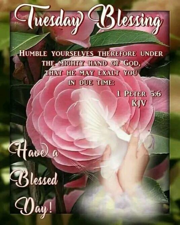 10 Beautiful Tuesday Quotes And Blessings For A Very Happy Tuesday - picture 12