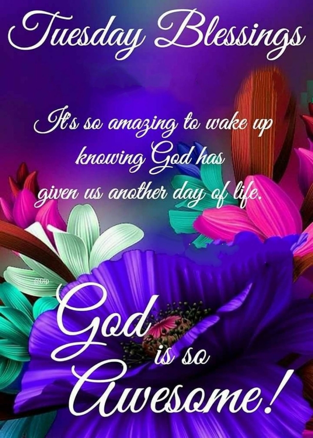 10 Beautiful Tuesday Quotes And Blessings For A Very Happy Tuesday - picture 2