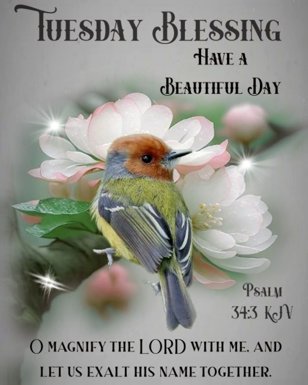 10 Beautiful Tuesday Quotes And Blessings For A Very Happy Tuesday - picture 5
