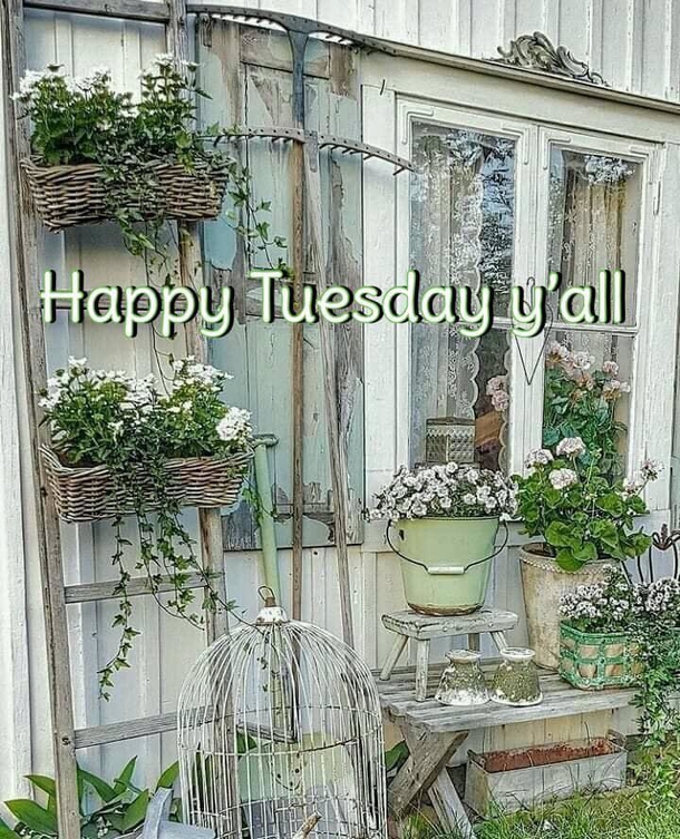 10 Beautiful Tuesday Quotes And Blessings For A Very Happy Tuesday - picture 6