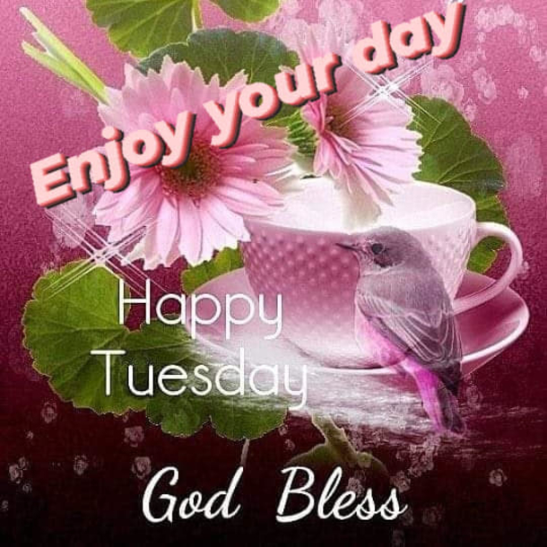 10 Beautiful Tuesday Quotes And Blessings For A Very Happy Tuesday - picture 8