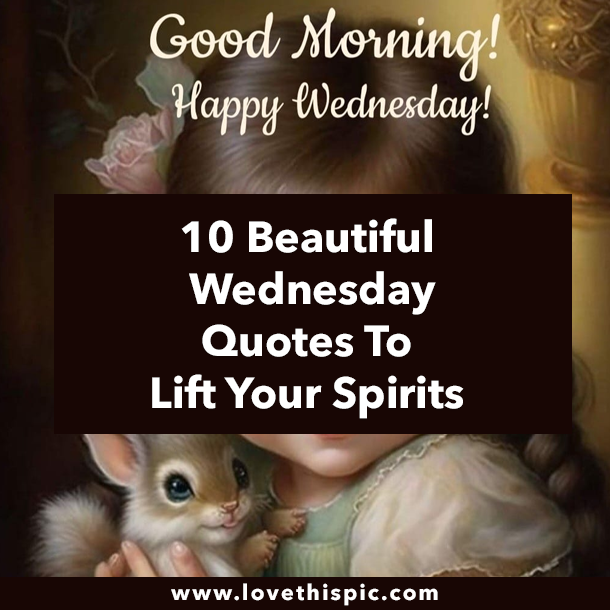 10 Beautiful Wednesday Quotes To Lift Your Spirits