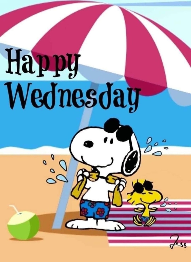 10 Beautiful Wednesday Quotes To Lift Your Spirits - picture 4